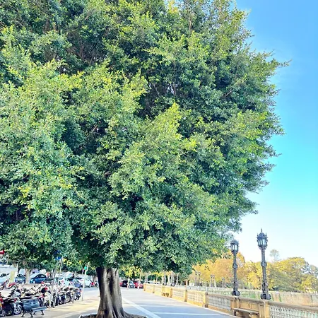 Luminoso En El Centro De 아파트