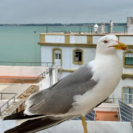 Luminoso En El Centro De Apartmán *