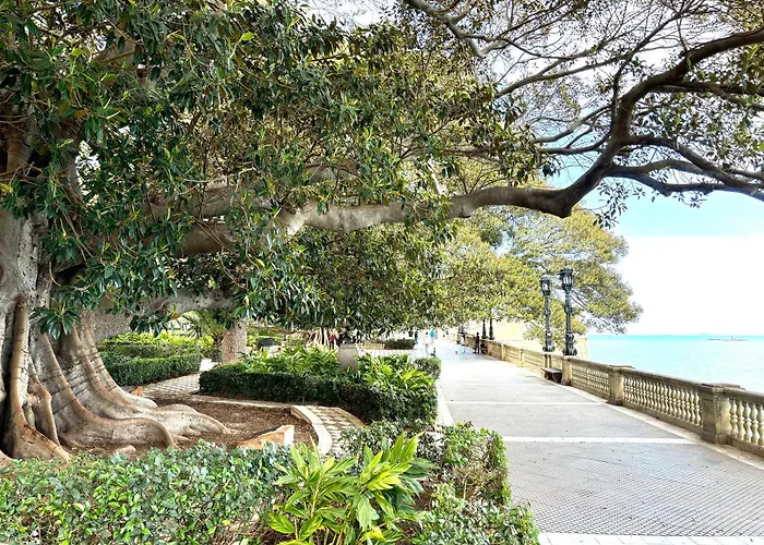 Luminoso En El Centro De