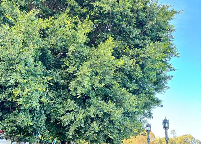 Luminoso En El Centro De Appartamento