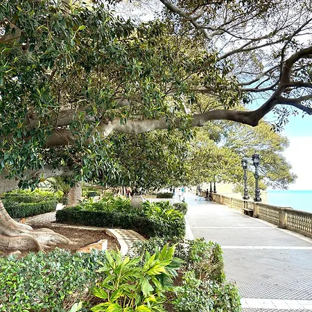 Luminoso En El Centro De